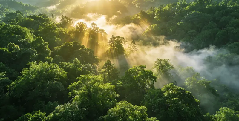 菏泽肺癌8基因突变检测（组织）检测图1