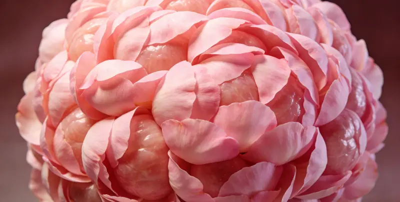 菏泽遗传性乳腺癌卵巢癌全面检测检测图1