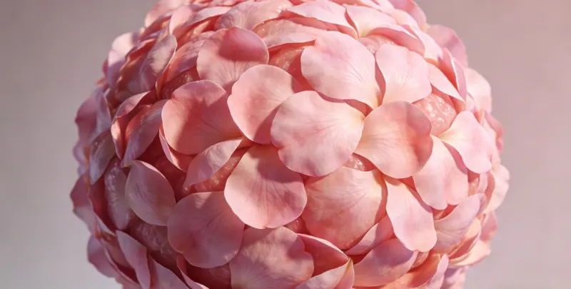 遗传性乳腺癌卵巢癌全面检测图4