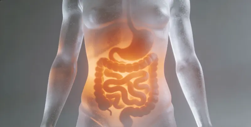 菏泽肠癌甲基化检测检测图1